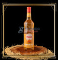 Toschi Pumpkin Syrup 1lt / Toschi Sirup Pumpkin 1lt
