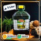 Pomace Olive Oil SALVADORI 5 Liter dari Italia - Indoguna