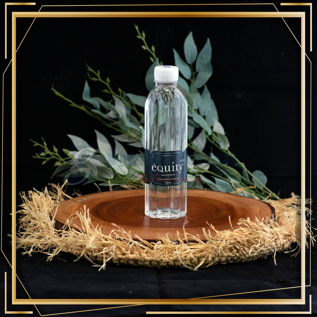 EQUITY MINERAL WATER 380 ML / AIR MINUM MINERAL